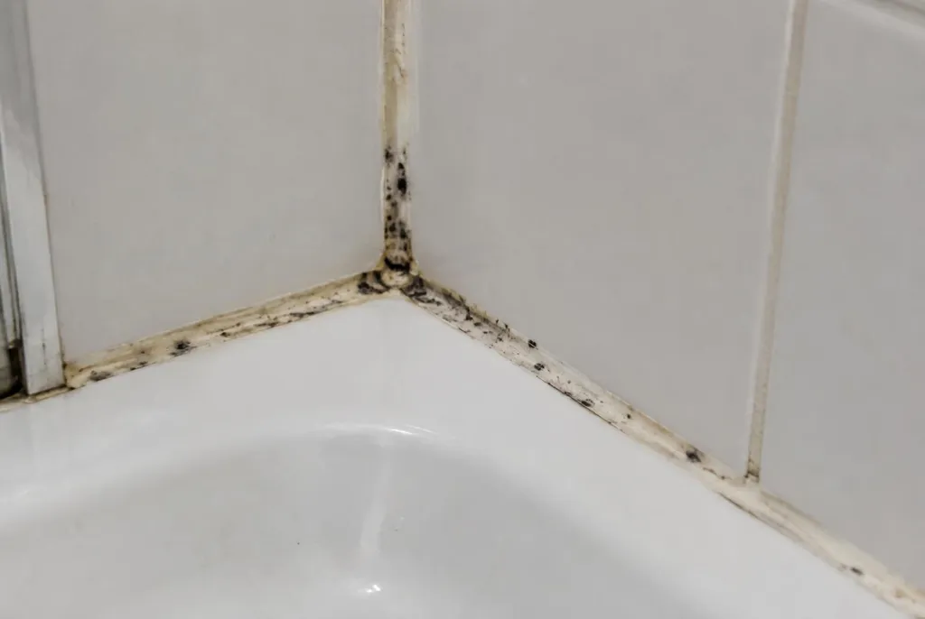 Kitbedrijf Nijmegen – beschimmelde kitranden